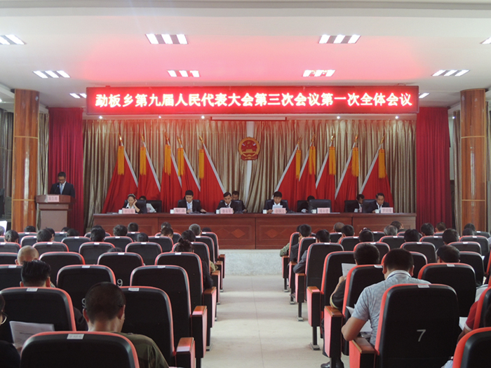 20180706 勐板乡九届三次人代会第一次全体会议（李正楠摄） (15)_副本.jpg
